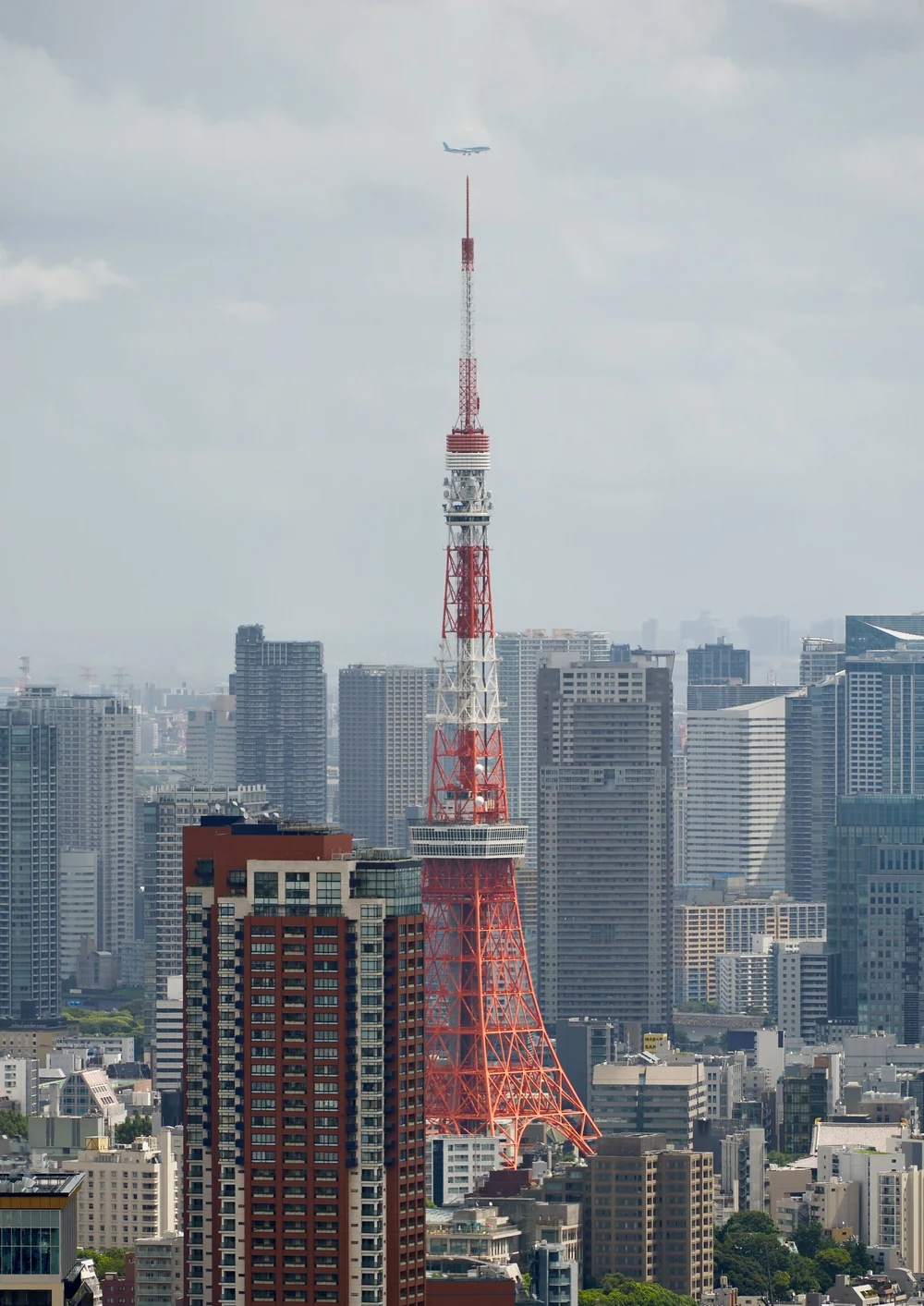 DSCF3997.JPG