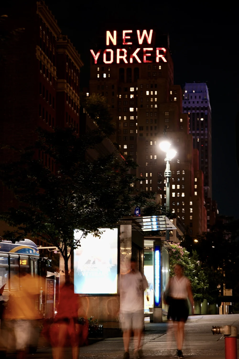 DSCF2772.JPG